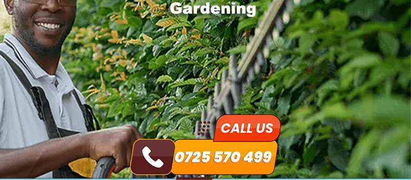 Gardening Service in Nairobi | 0725570499