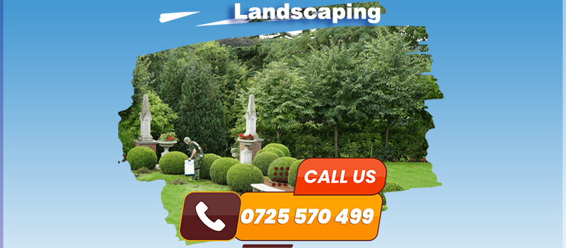 Drip Irrigation Setup Service in Nairobi, Kenya