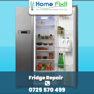 Fridge & Freezer Repair in Kileleshwa
