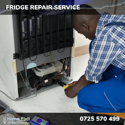 Convenient, Fast Fridge Repair Services in Nairobi, Kenya